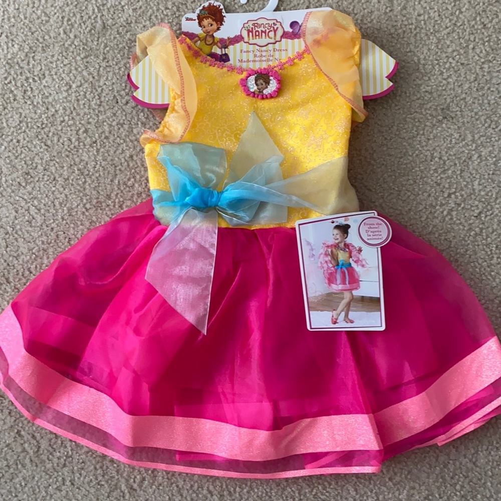 Fancy Nancy Dress